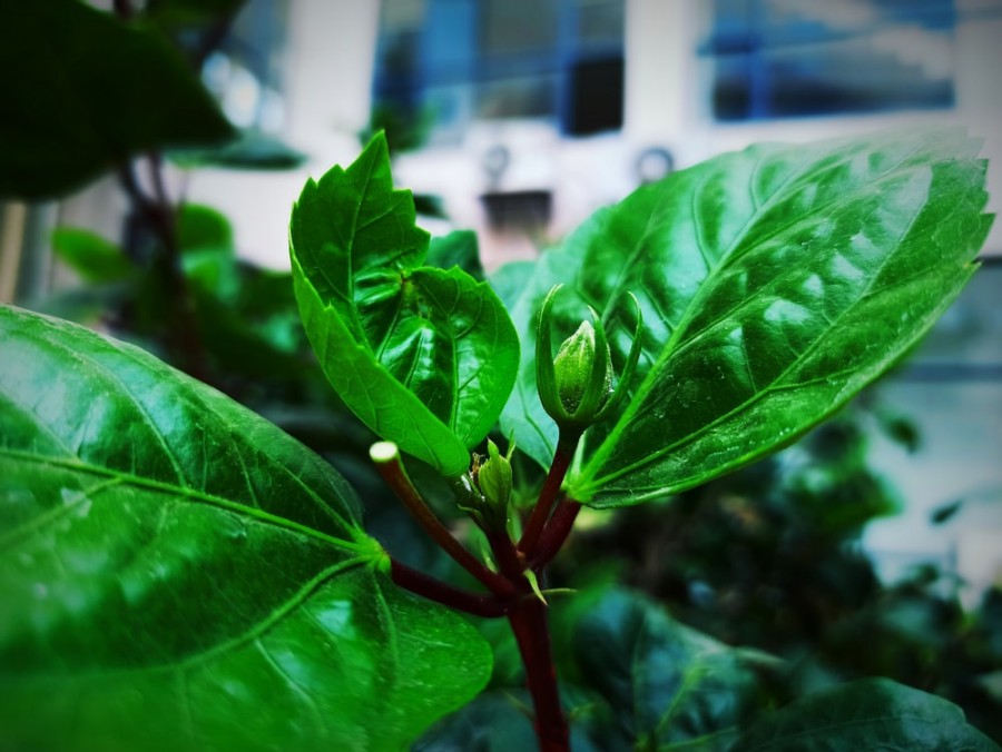 EWD-3: Photography Contest