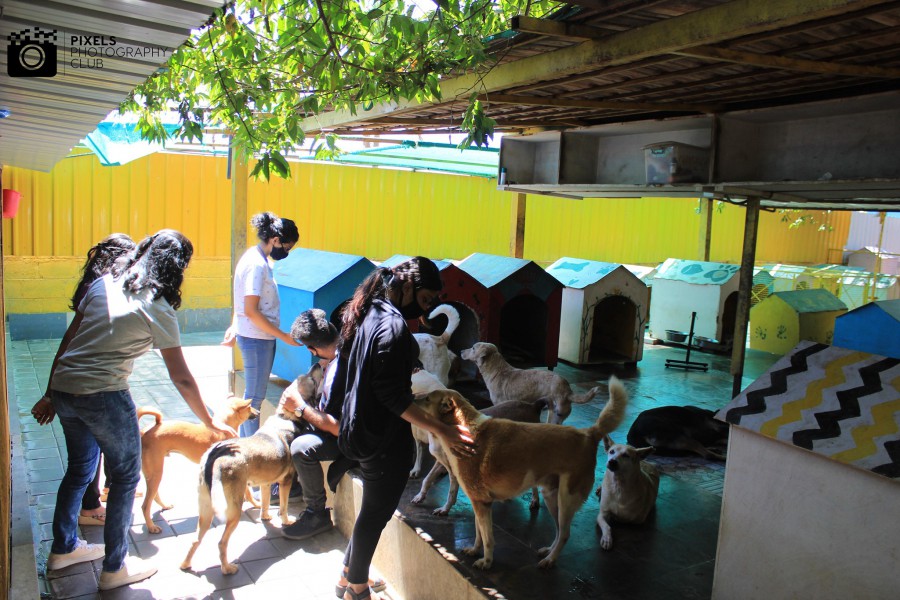 Students visit animal rescue centre