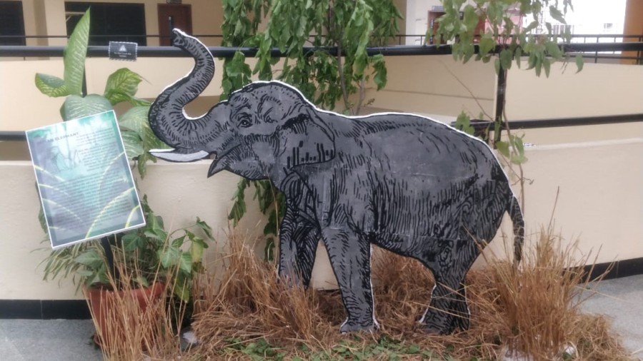 Micro event on promoting wildlife protection