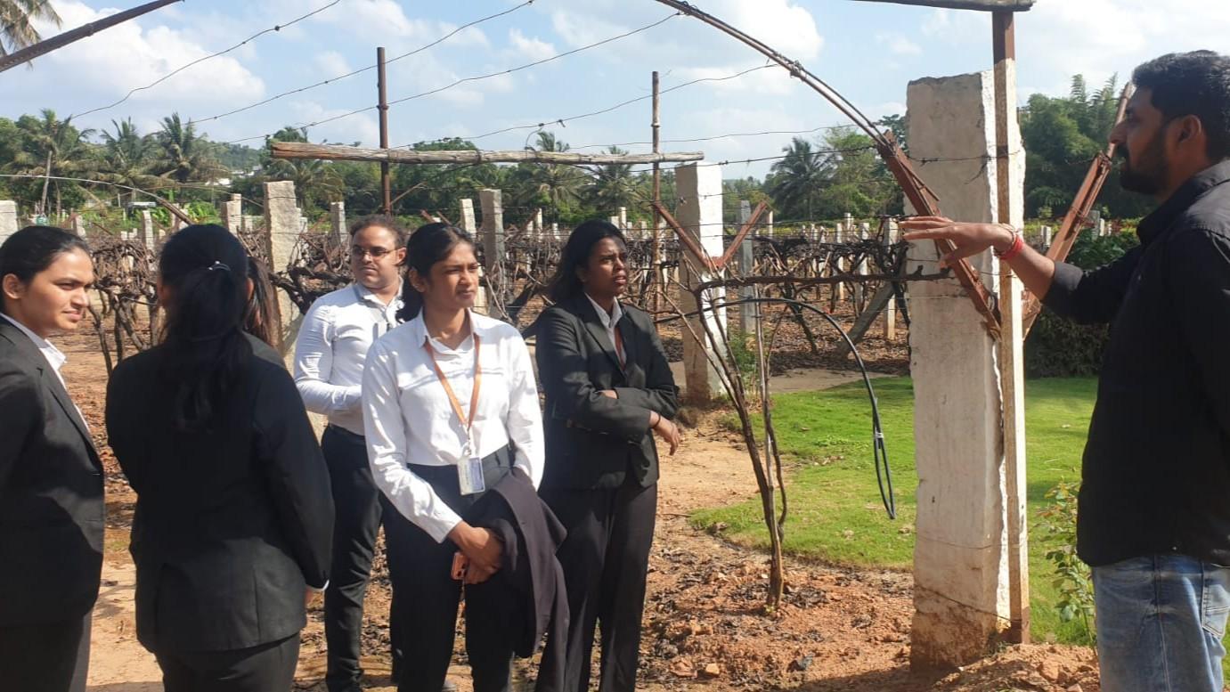 A Taste of Terroir: PESU Students Explore Big Banyan Winery